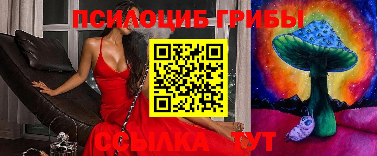 Галлюциногенные грибы GOLDEN TEACHER  Вход с VPN  Спасск-Дальний 